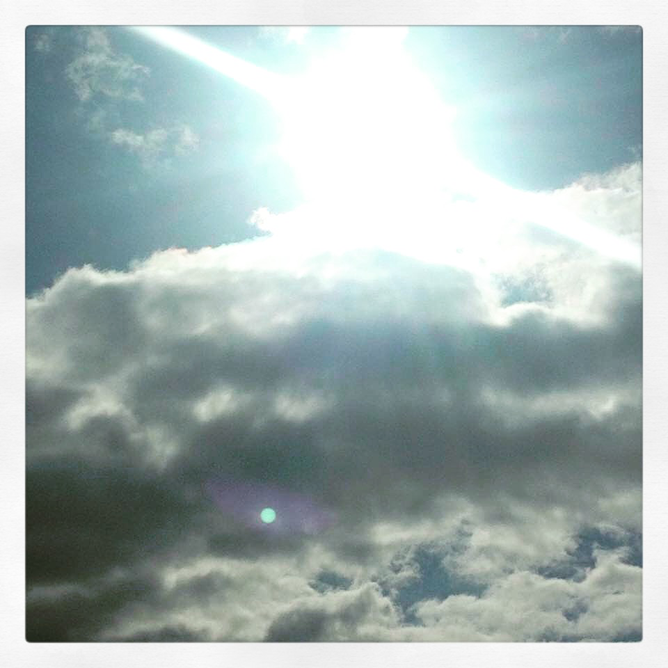 IMG_0299.png