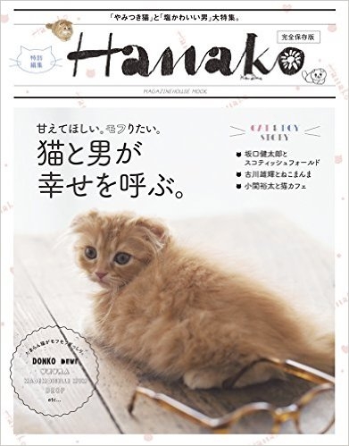 Hanako猫.jpg