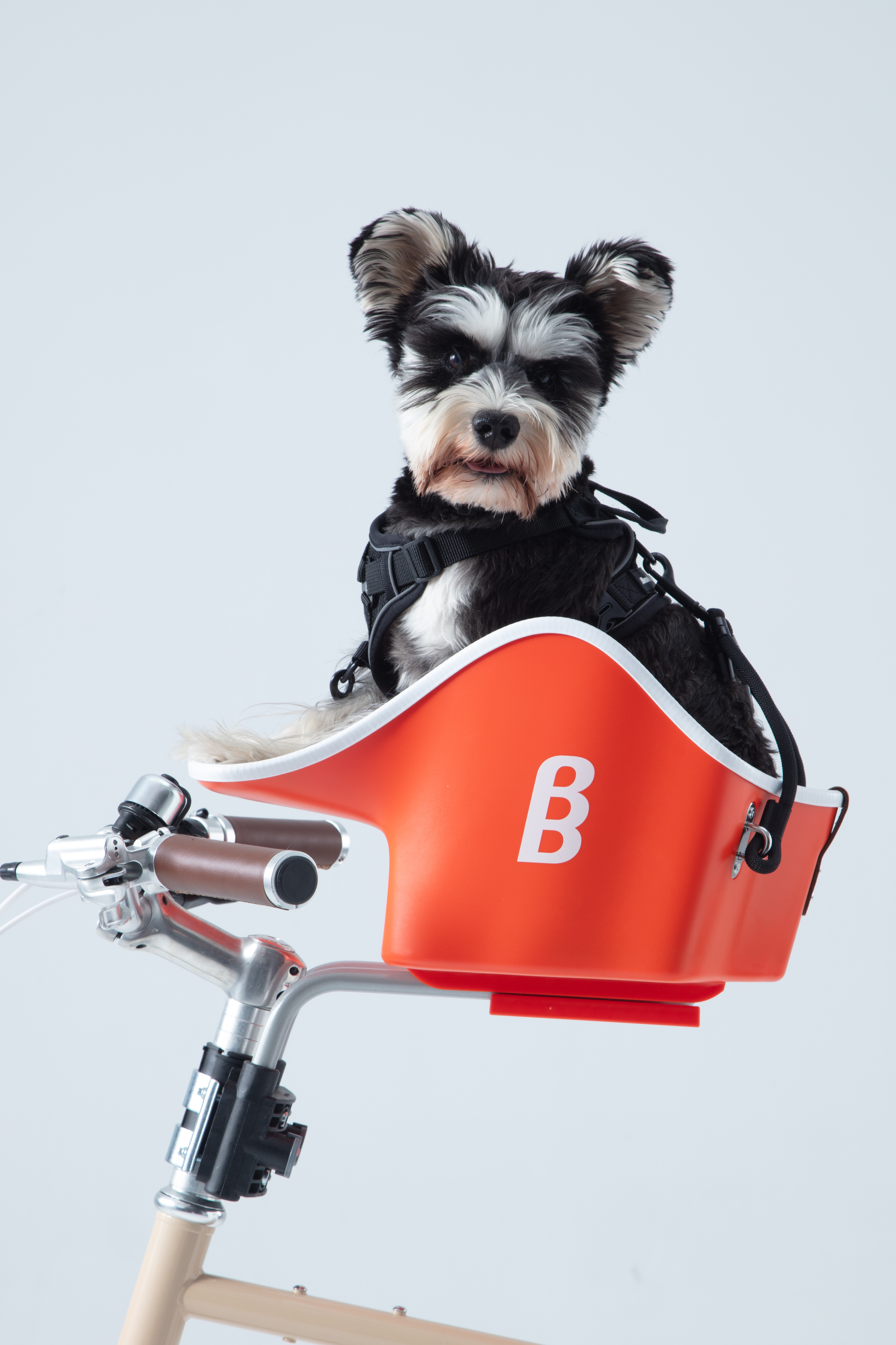 Canine Copilot 取り扱いのお知らせ