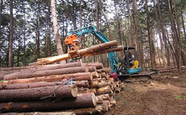 森林整備事業