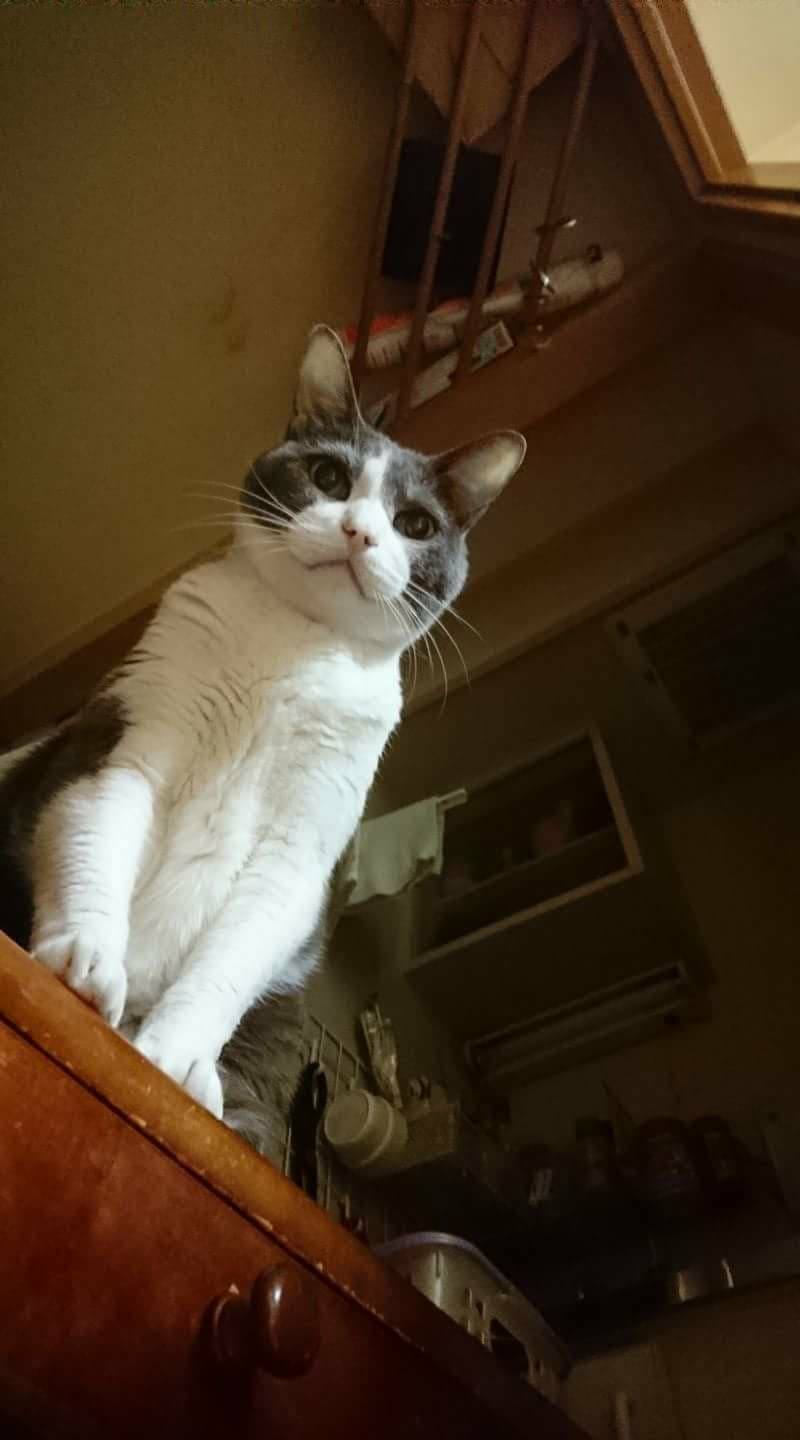 received_1632740113451099.jpeg