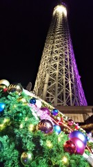 DSC_1017.JPG