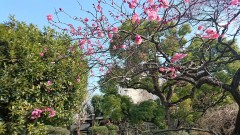 DSC_1099.JPG