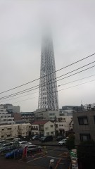 DSC_1167.JPG