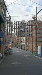 DSC_1207.JPG