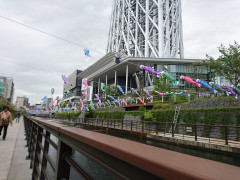 DSC_0295.JPG