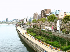 _20190408_201628.JPG