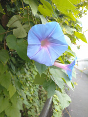 DSC_0111.JPG