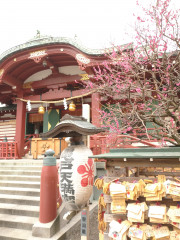 梅祭り
