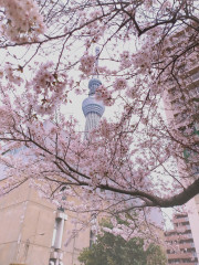 春うらら♪
