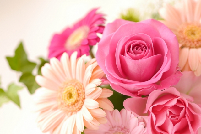 3785DA9B-1862-48F3-9730-9075B91B9880.jpeg