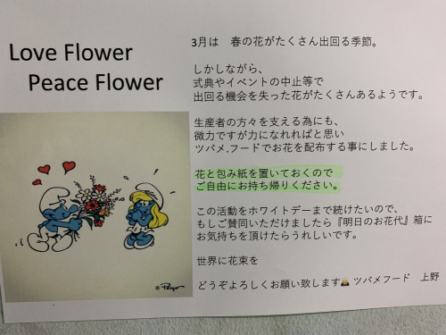 ツバメの花