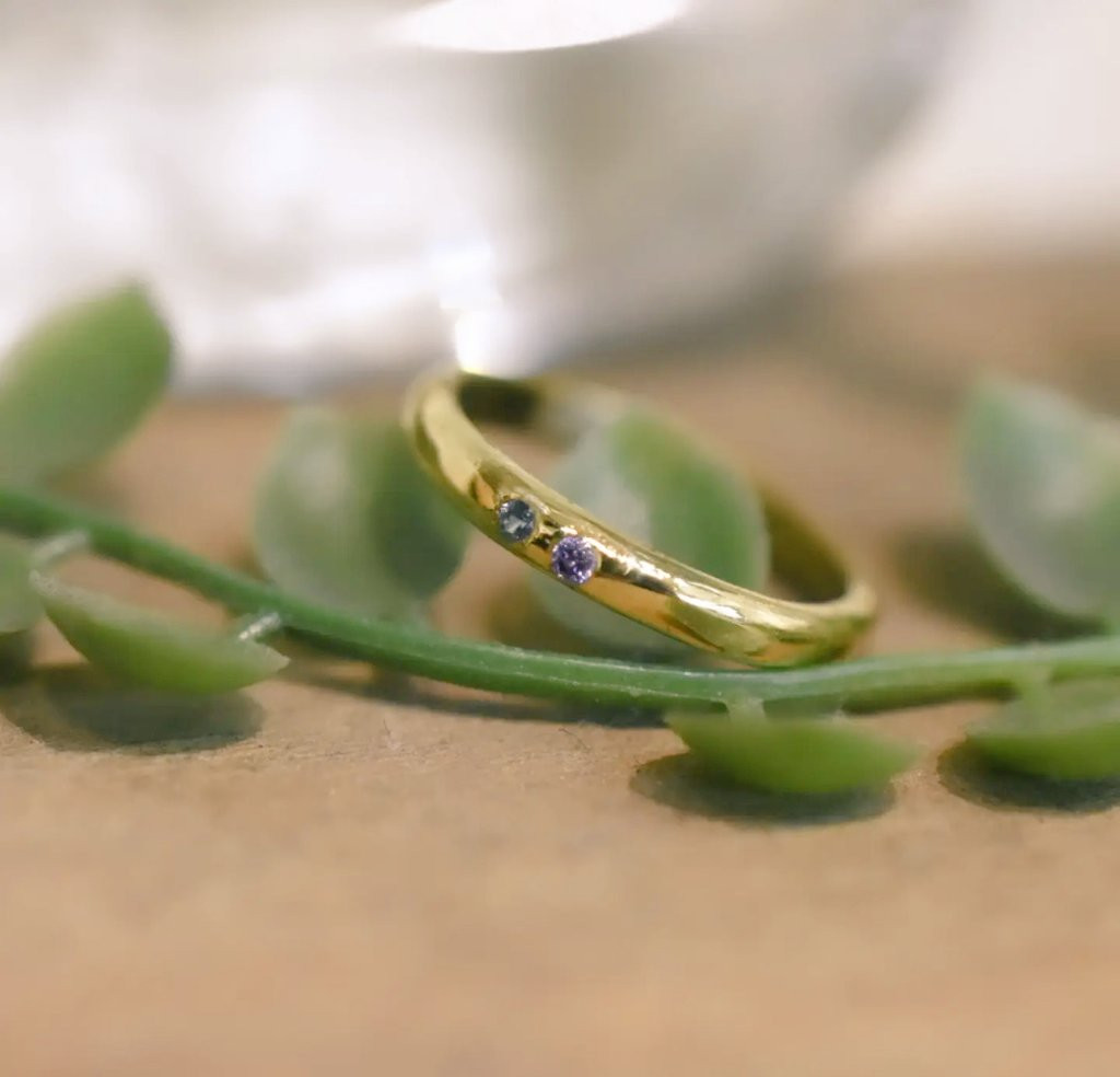 🐢甲丸ピンキーリング🐢