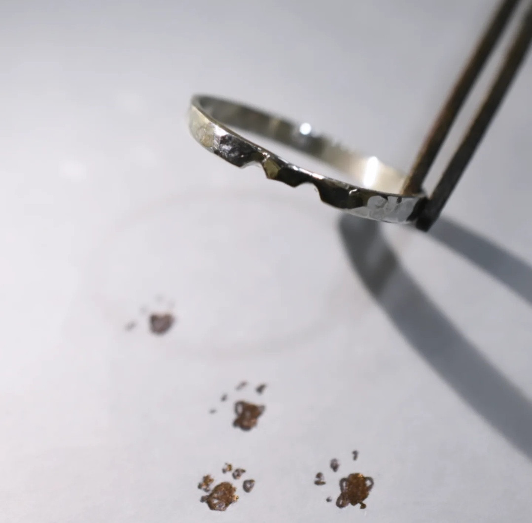 ☆11/18(火)の営業時間につきまして☆