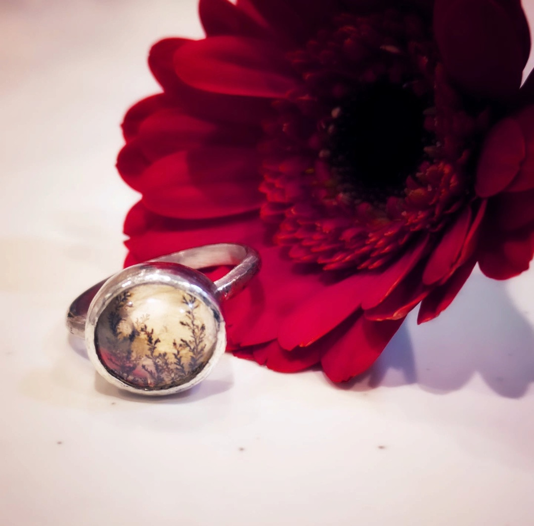 🎄Merry Christmas🎄