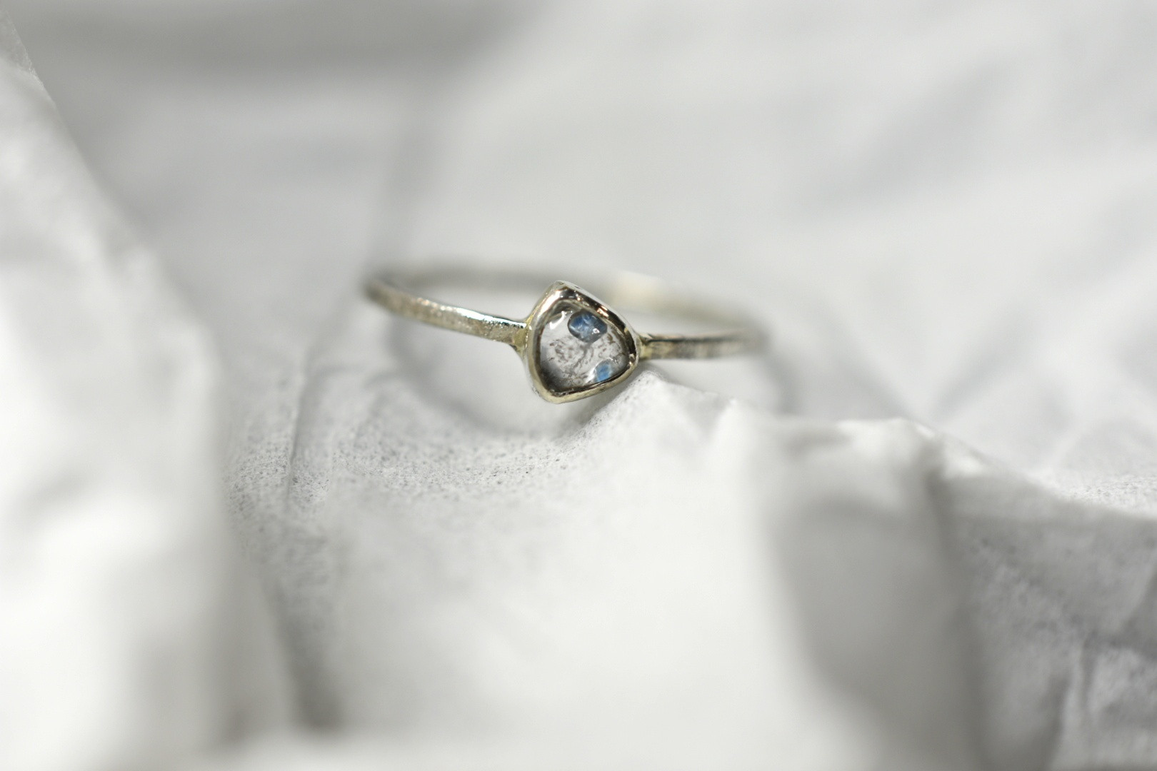 🐍今年もお世話になりました🐍