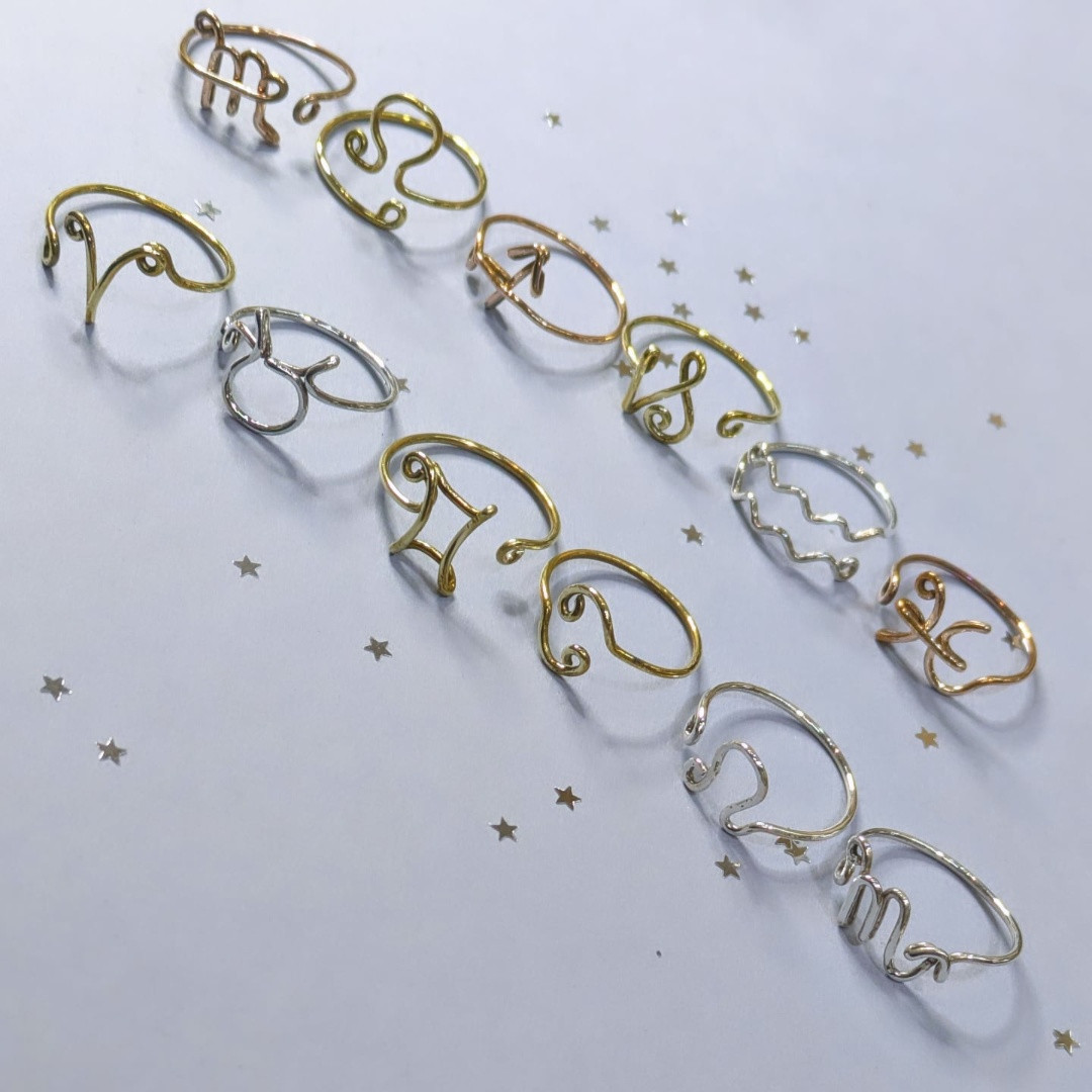 ♑ホロスコープリング♒