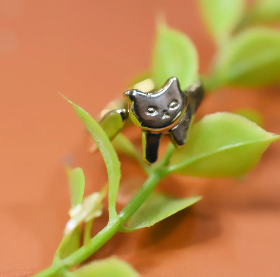 🐈️ぐるっと猫リング🐈️