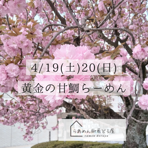 4/19(土)20(日)は限定「黄金の甘鯛らーめん」
