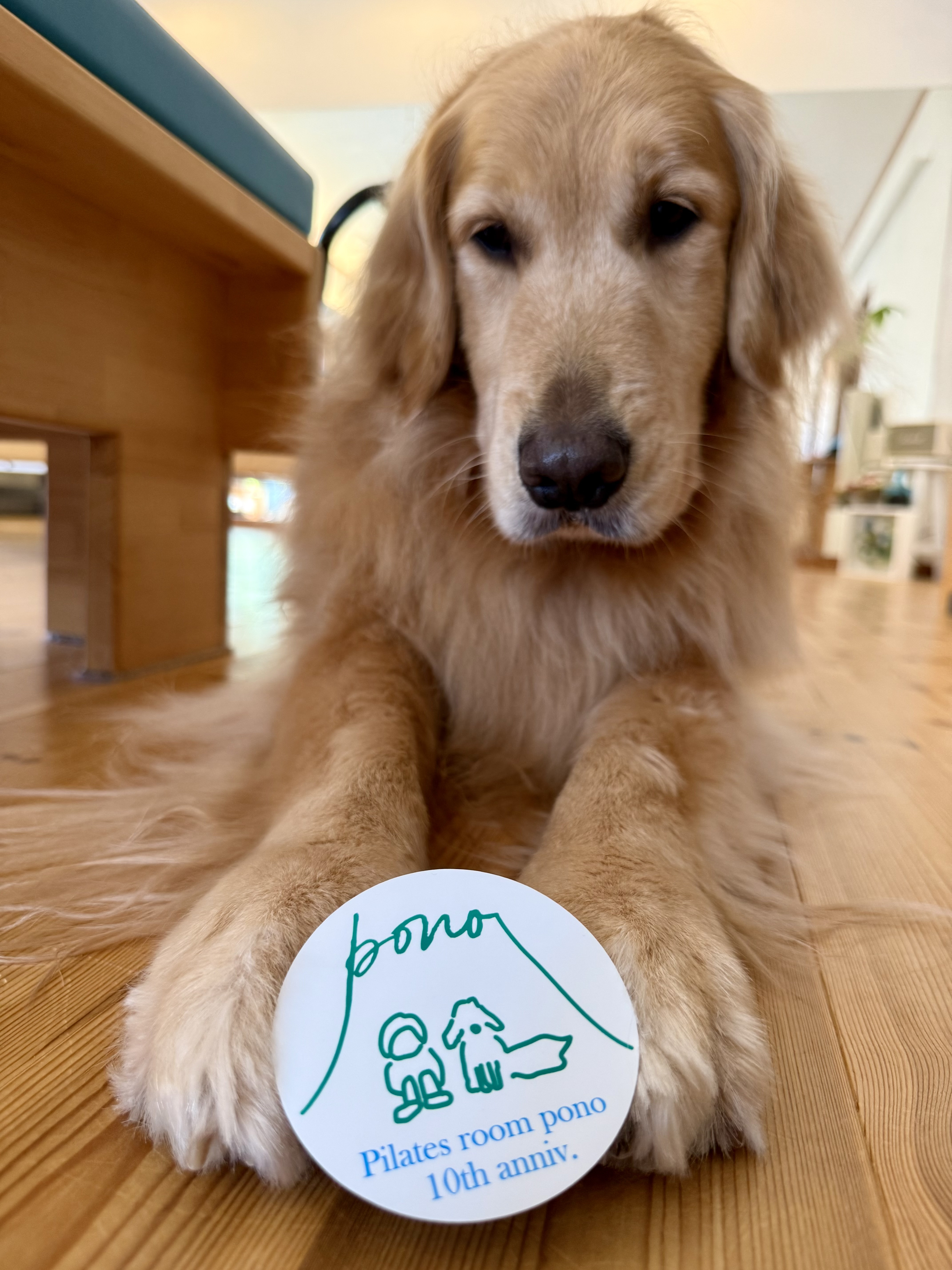 スタジオ１０周年のお知らせです