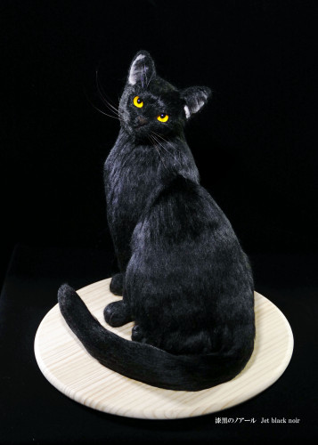 黒猫のノワール5000p.jpg
