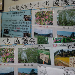 7646A07C-659F-4B3E-A545-25ADFCED7B81.jpg