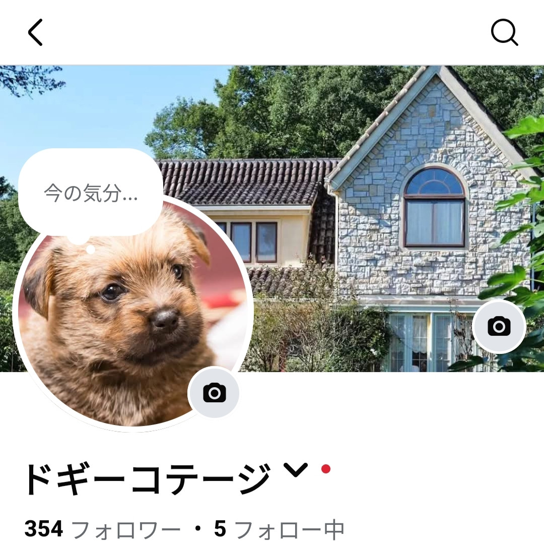 インスタグラムのこと。