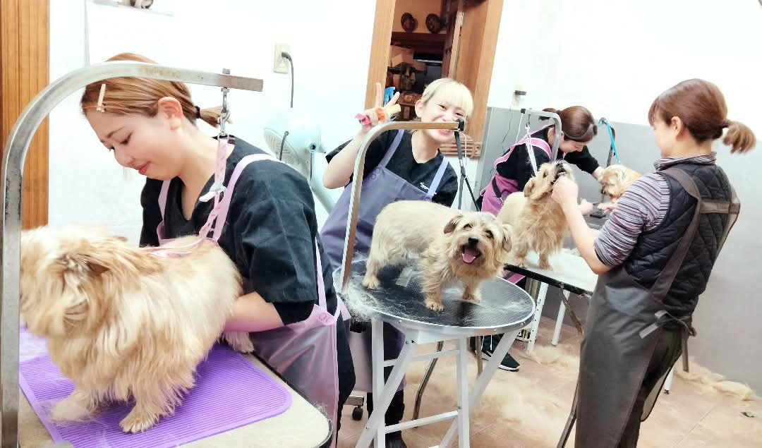 年末年始の営業日について