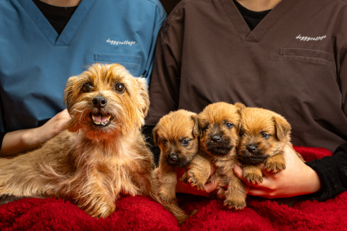 2026年スタート！！！