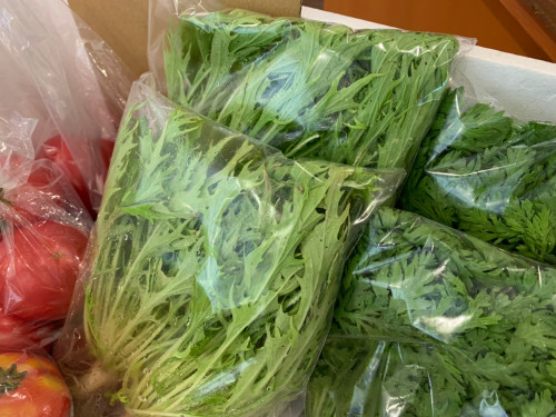 自然栽培野菜販売中‼︎トマト、水菜、春菊
