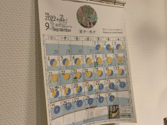はからめ月のカレンダー