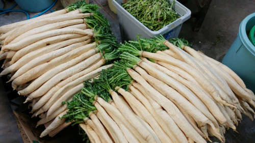 「干し大根田舎漬け」出たよ!