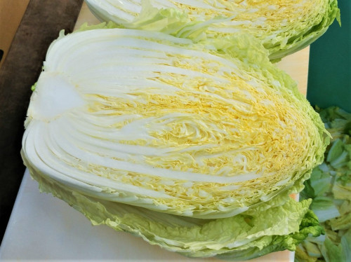 「信州産の高原白菜」…来たよ!