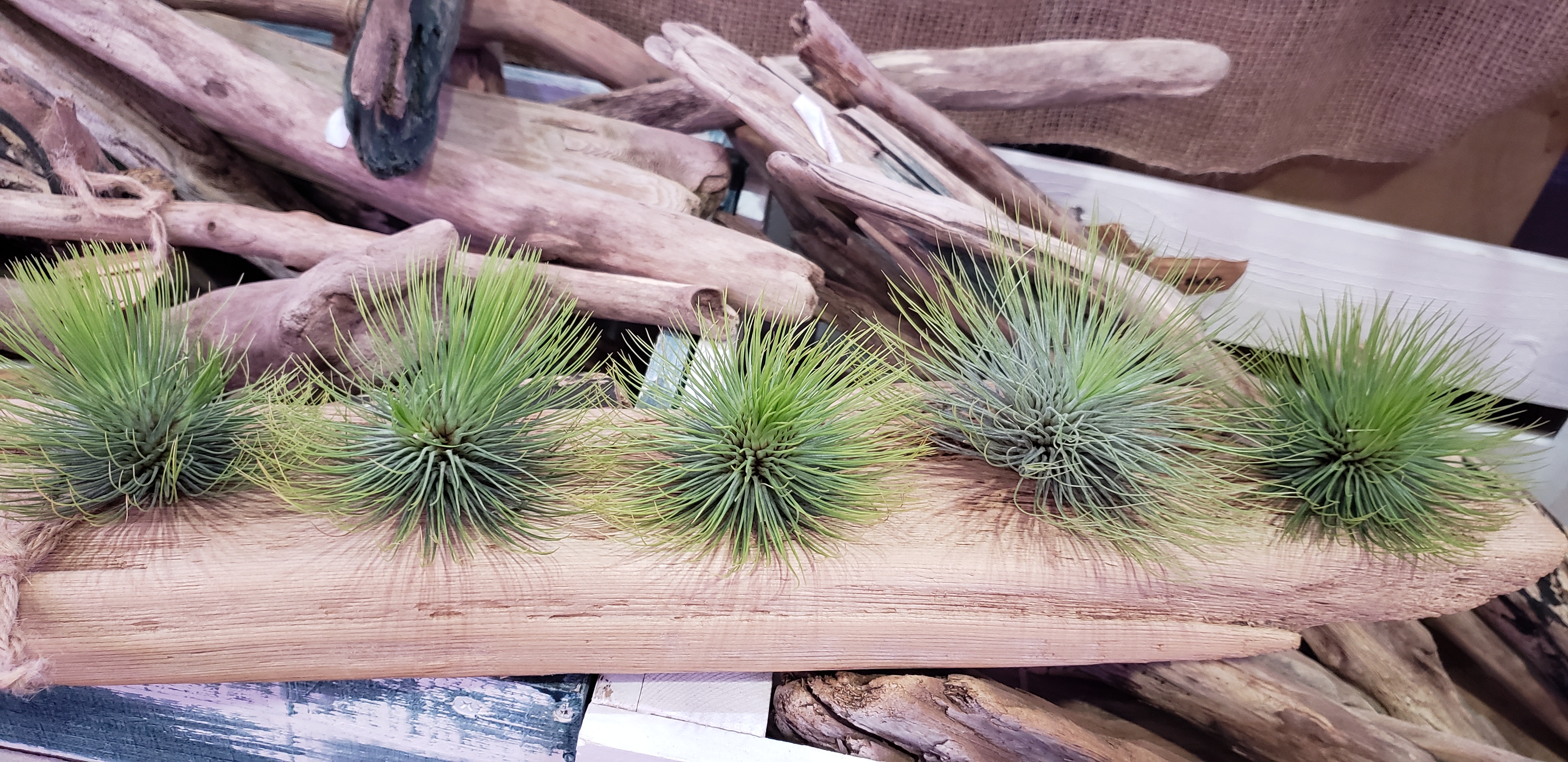 20190329_133223.jpg