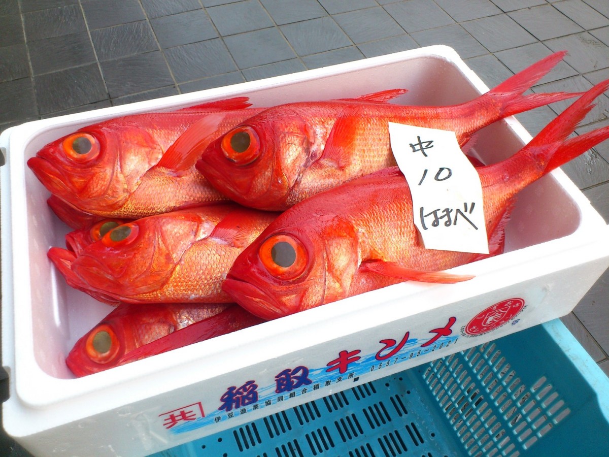 稲取漁港の鮮魚入札権を所有し、鮮魚商などの仲買いを通さず、直接鮮魚競り場にて入札浜買いしています。