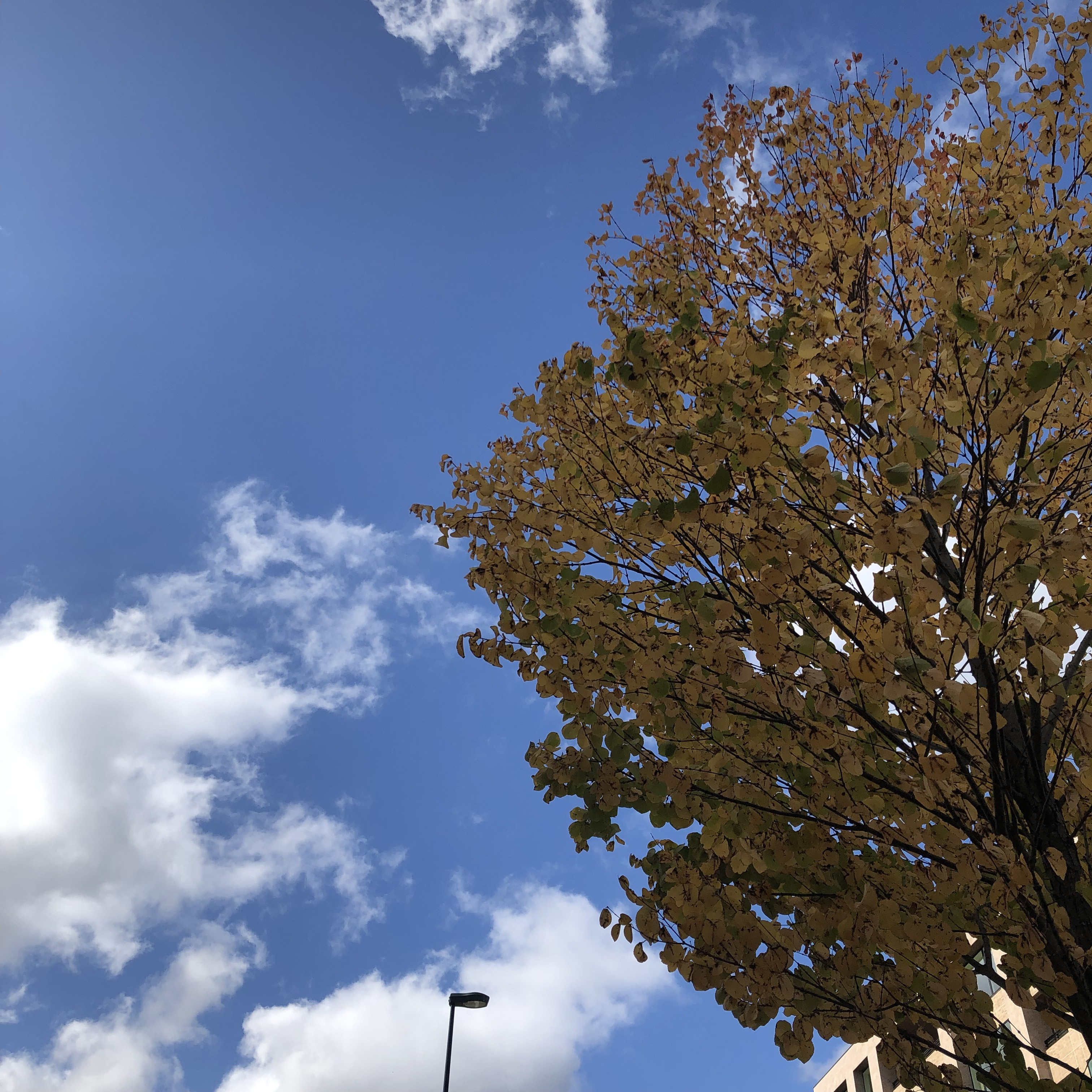 4821F15B-810A-40F1-B074-8D59A431E884.jpeg