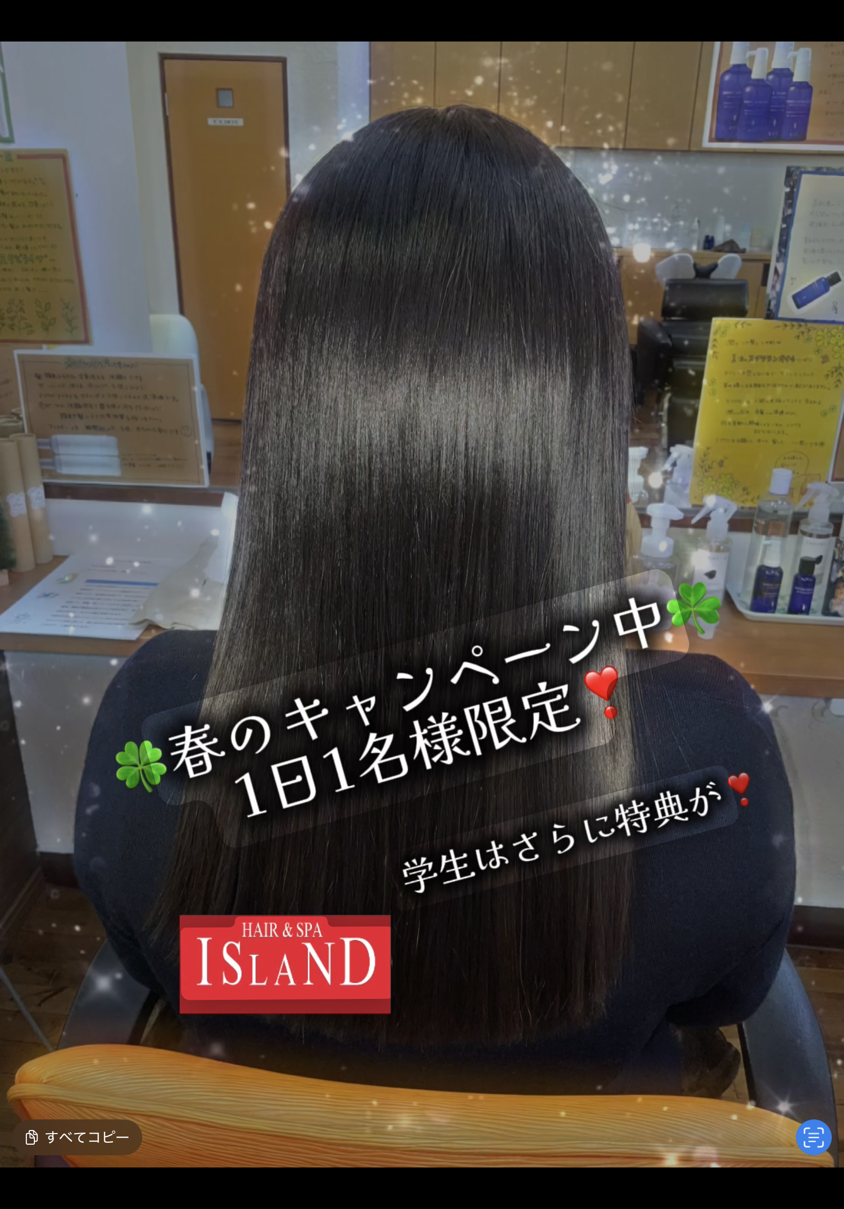 🌸 春のストレートキャンペーン 🌸