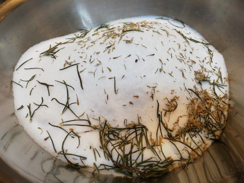 鳩の塩釜焼き … もう少し詳しく との事で … 其の参
