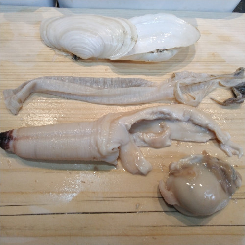 白ミル貝　…　其の弐