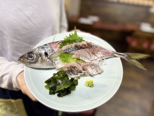 大アジのお造り