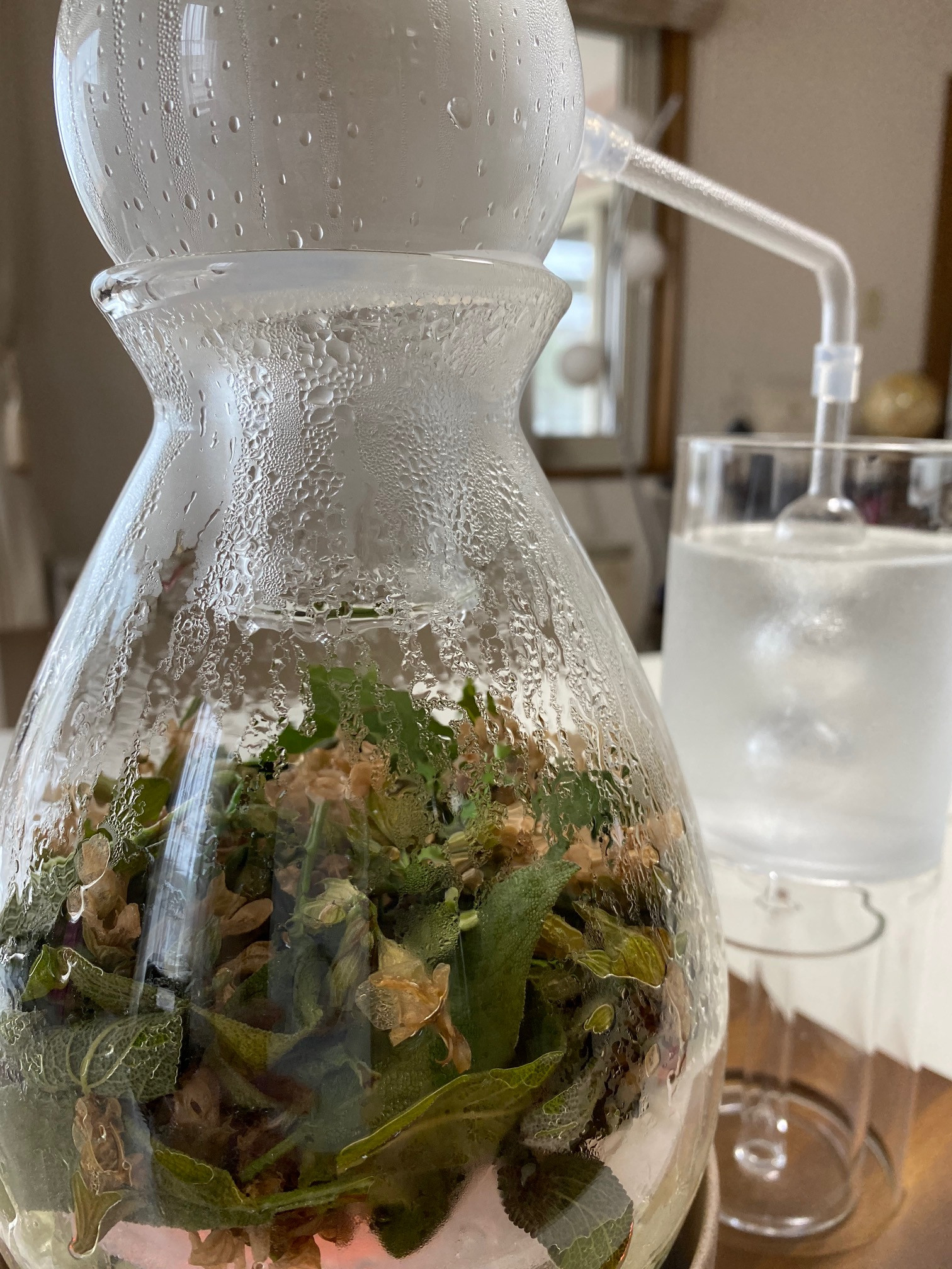 ハーブ蒸留会と石鹸作りのお知らせ