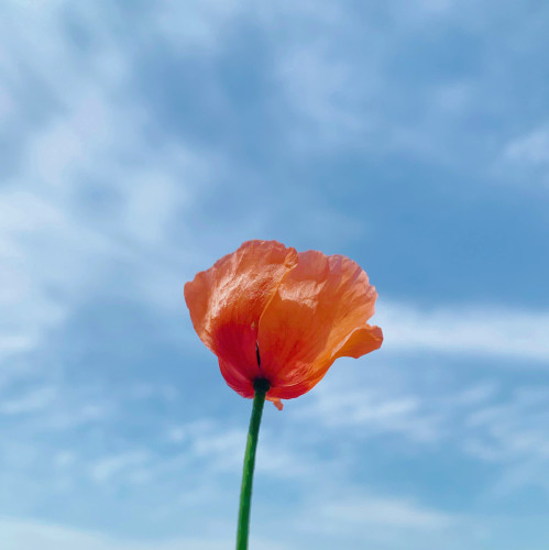 6E90945F-DB5F-4DEB-BCC7-3826F6C5A1D6.jpeg