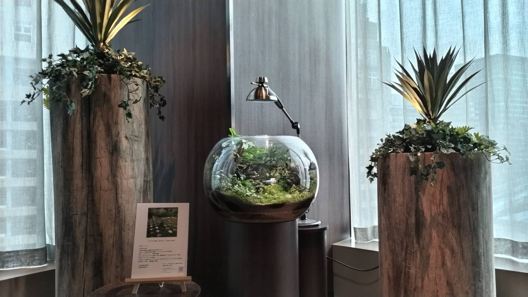 moss-connect / 苔インテリア販売 / 苔テラリウム教室