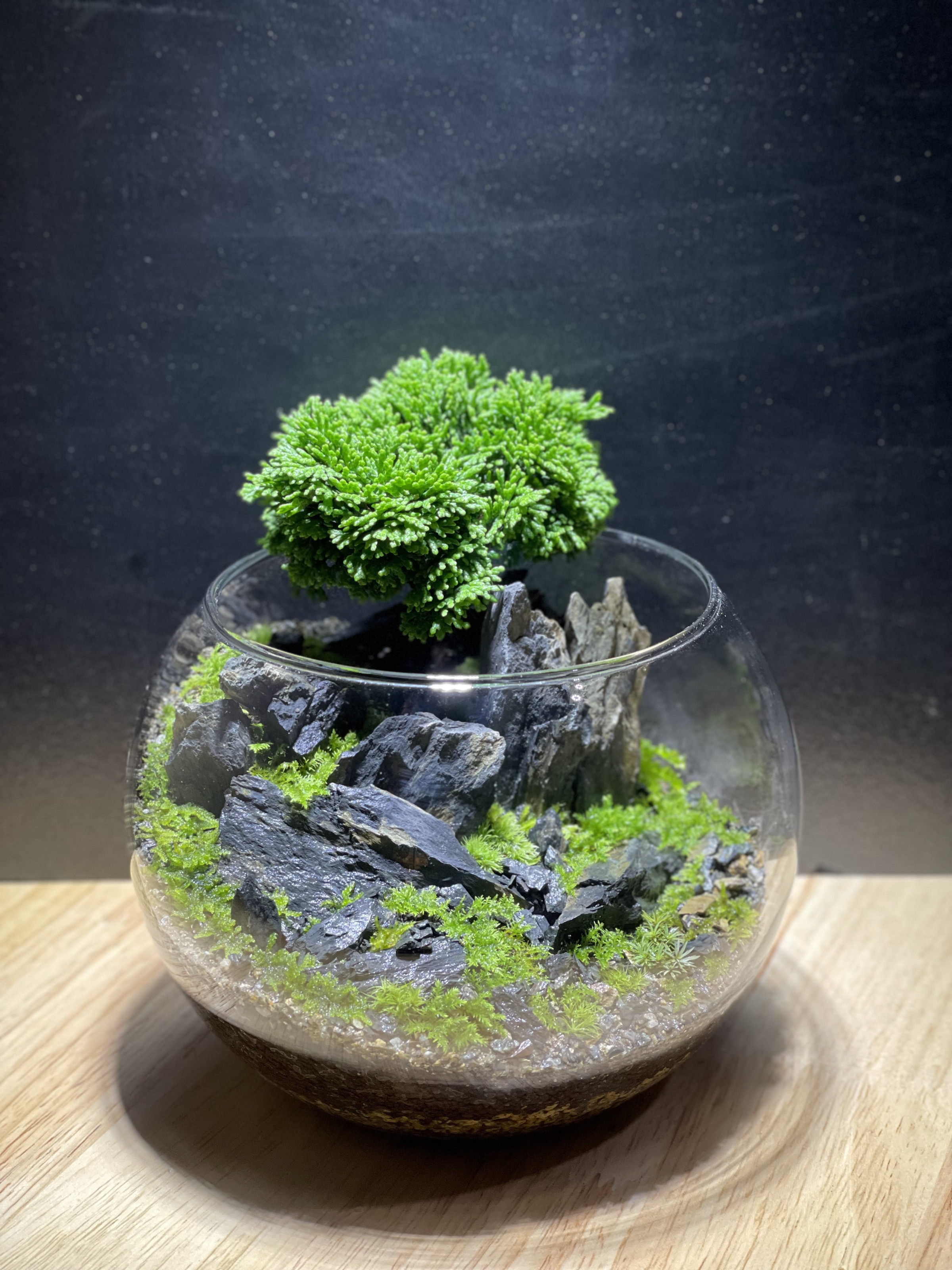 硝景 「 -- 世果崖 -- 」