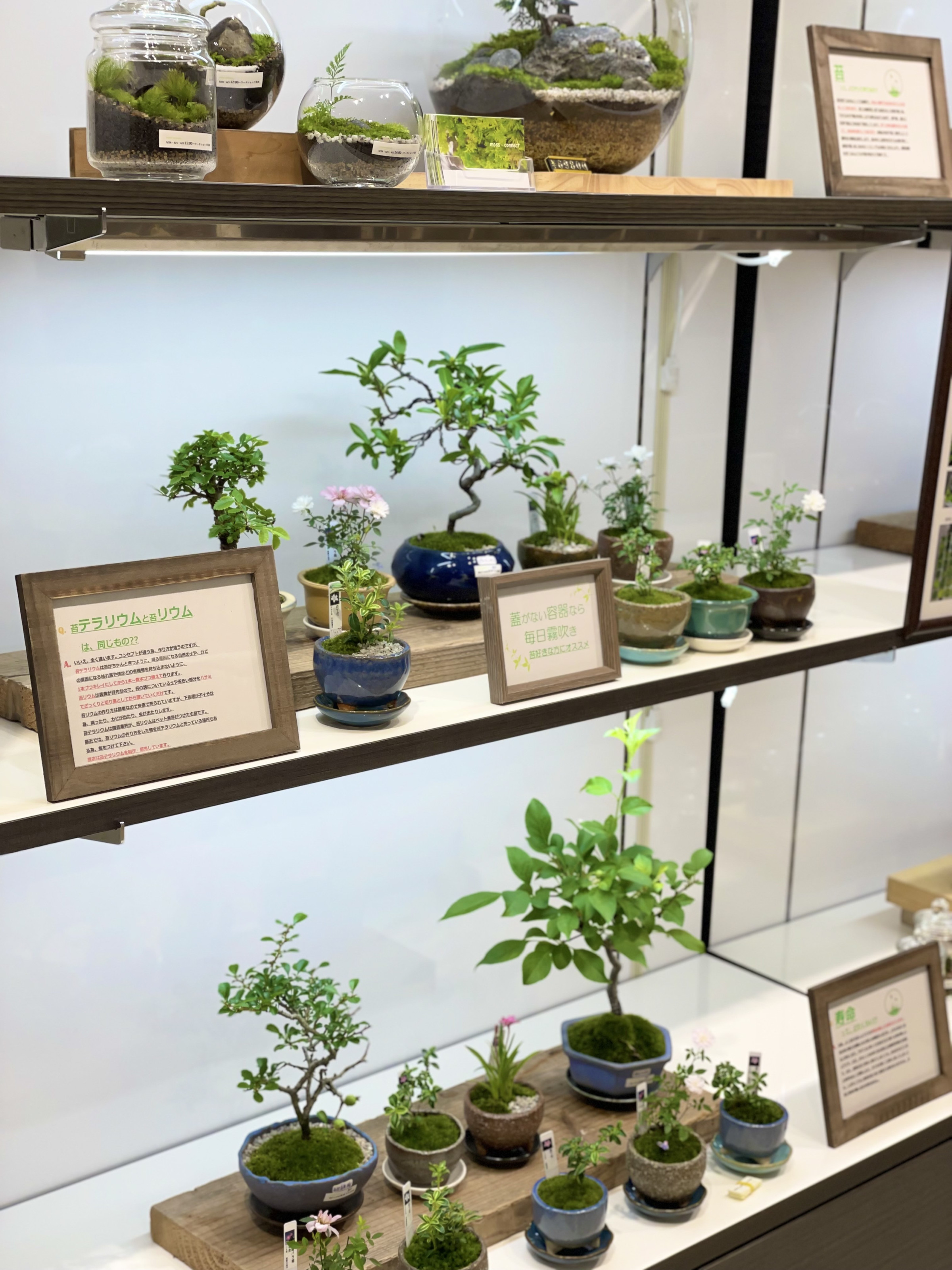 5/28〜6/2まで博多阪急百貨店さまの催事に出展させていただきました。