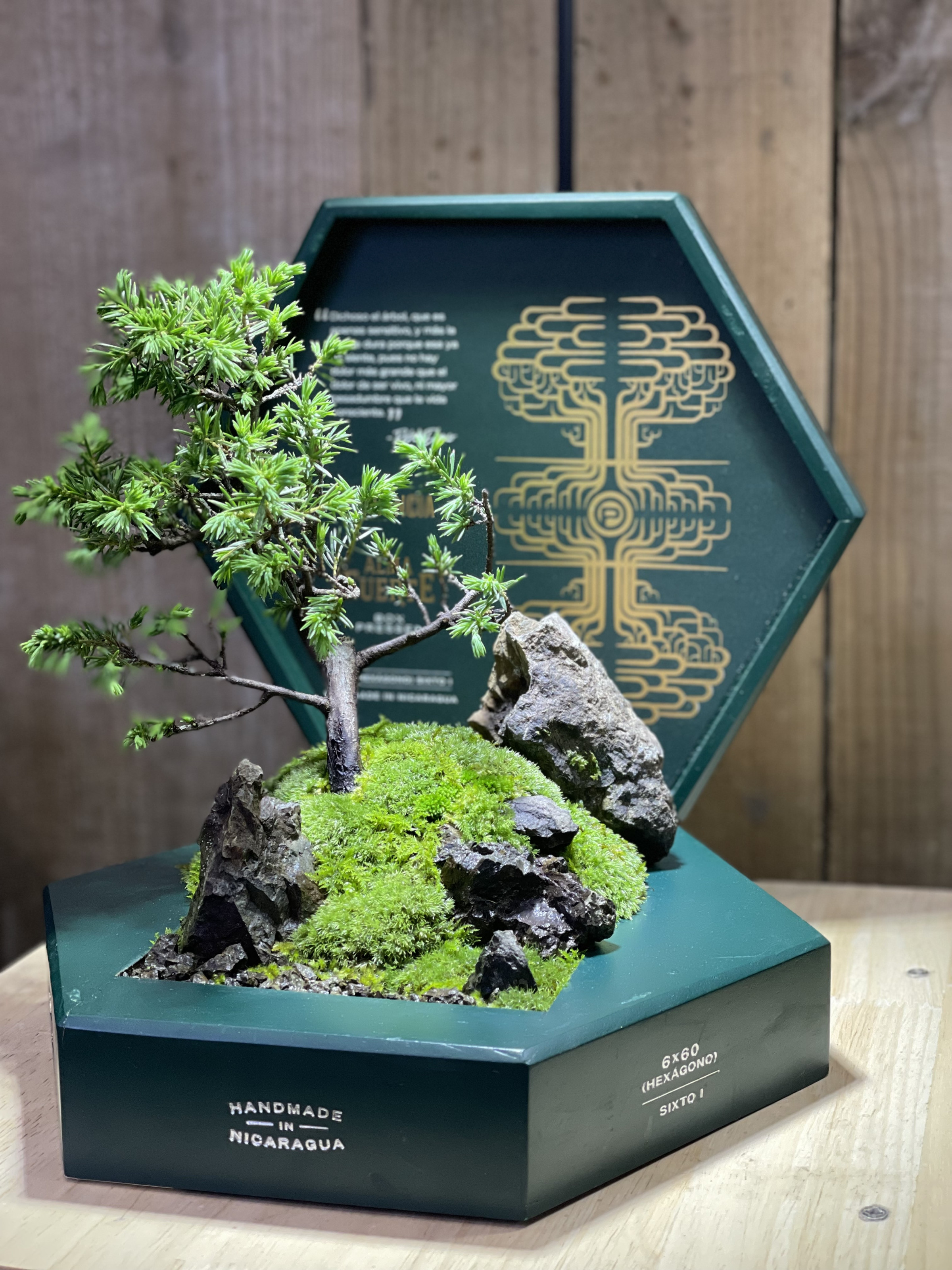 容器持ち込みオーダー品
