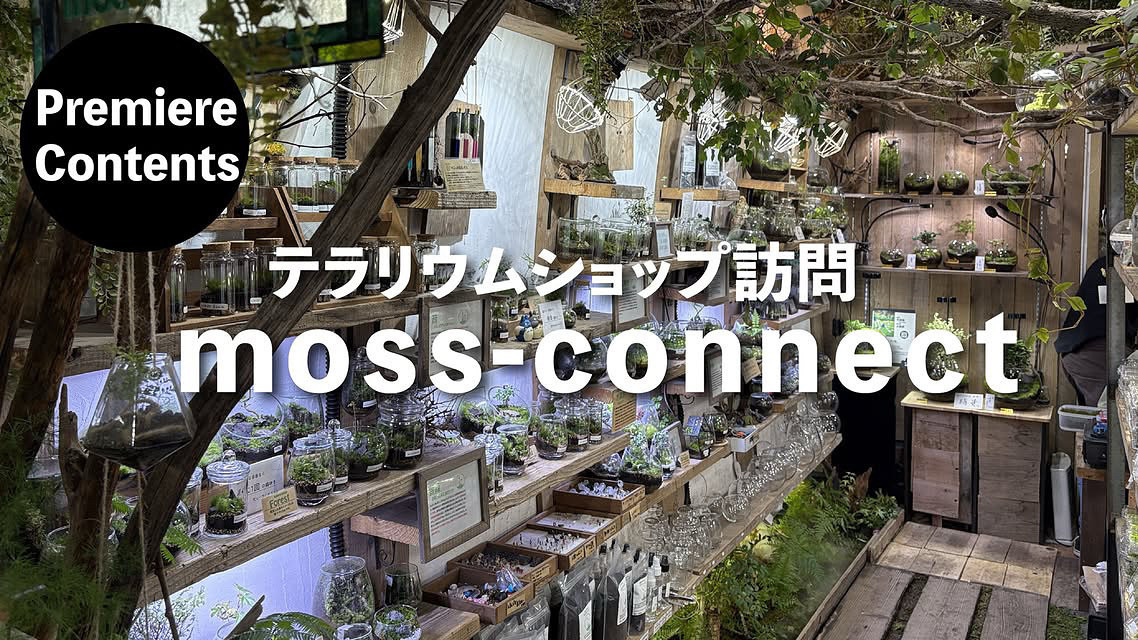 YouTubeの道草チャンネルさんが撮影に来られました。