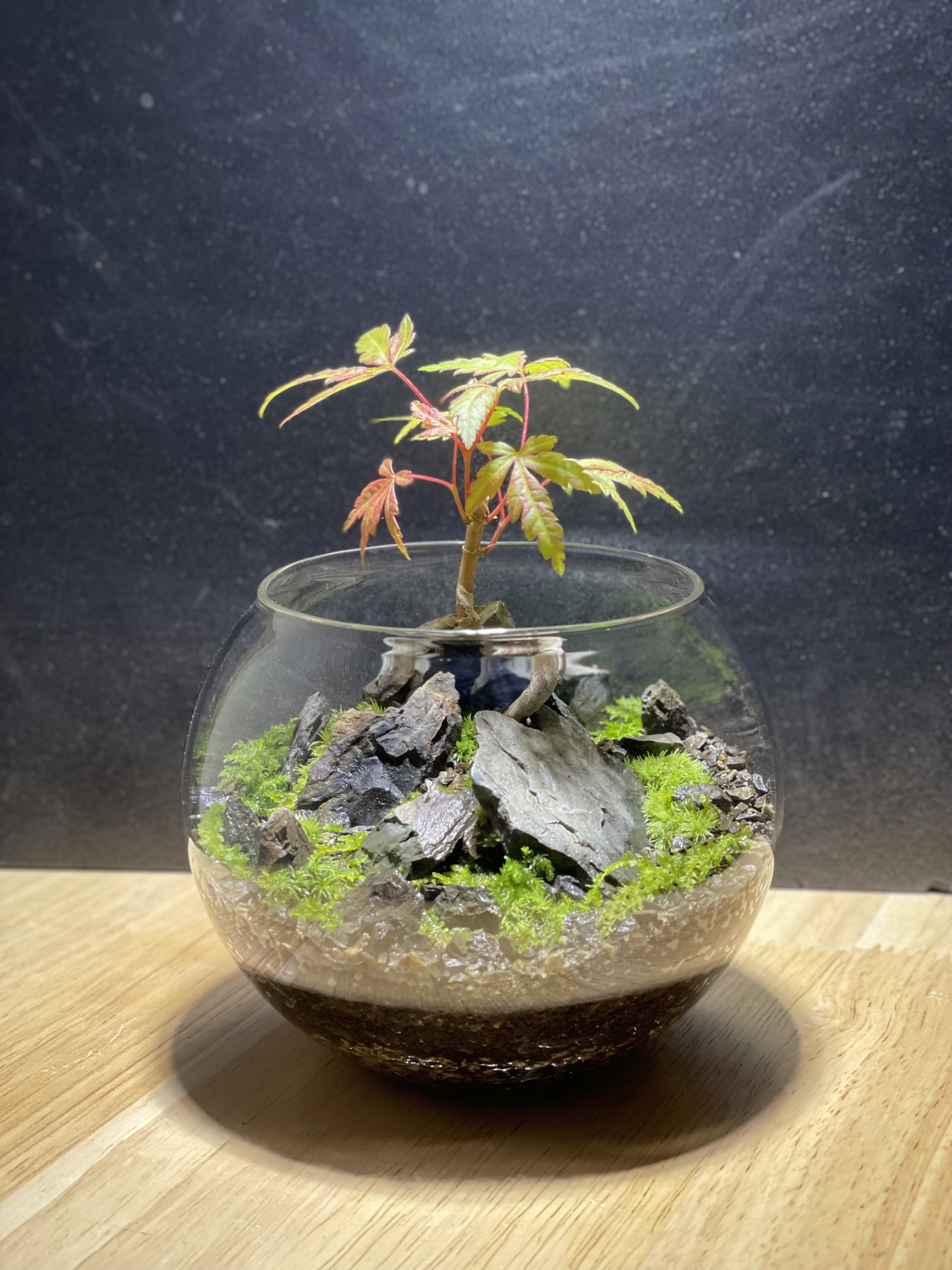 硝景 「 -- 東錦 -- 」