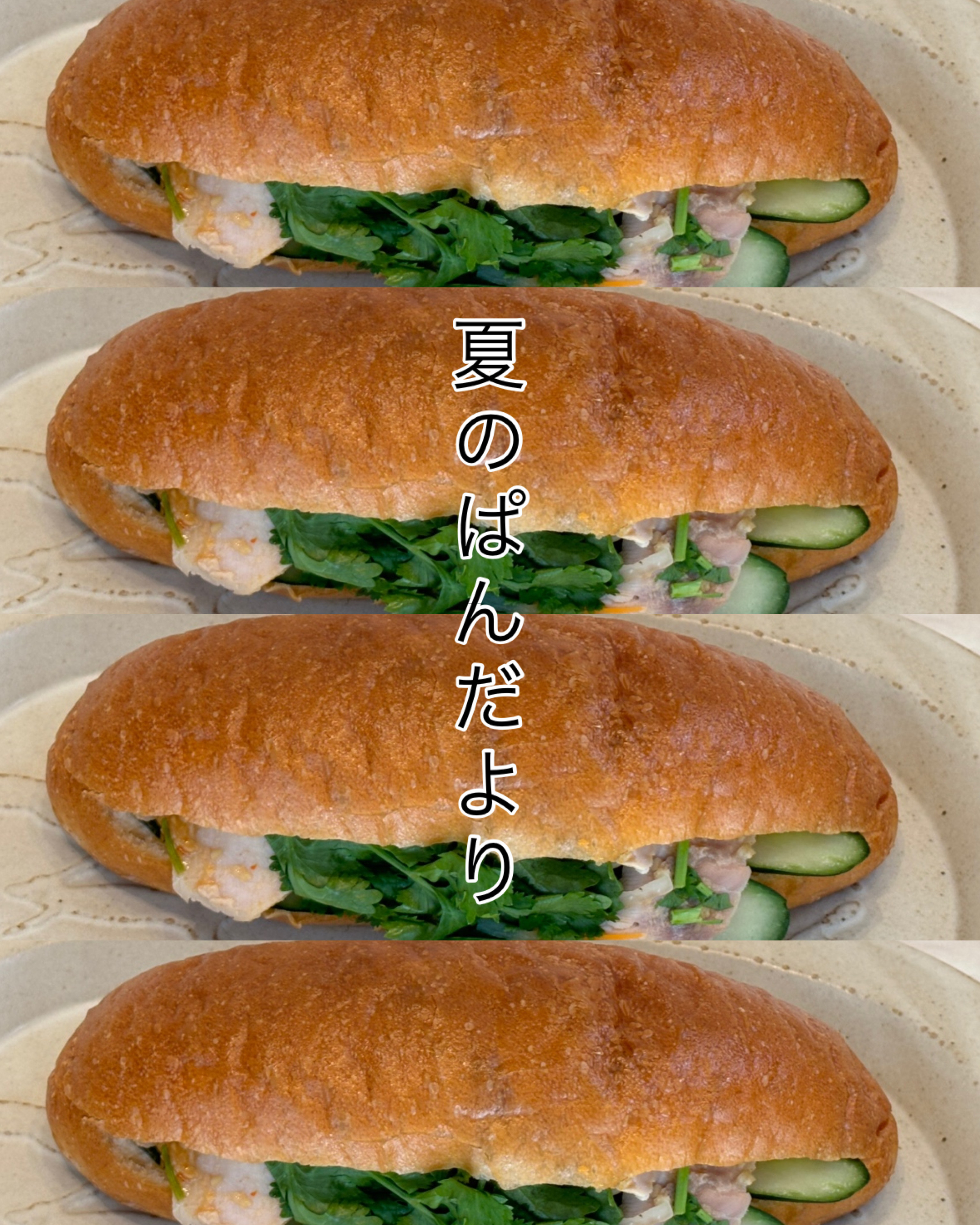 7/26(土)夏のぱんだより。