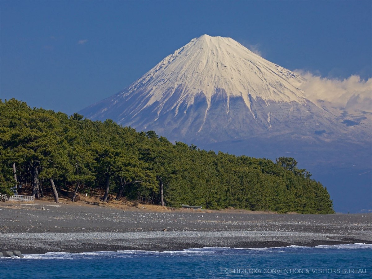 三保の松原 … 世界文化遺産「富士山」構成資産